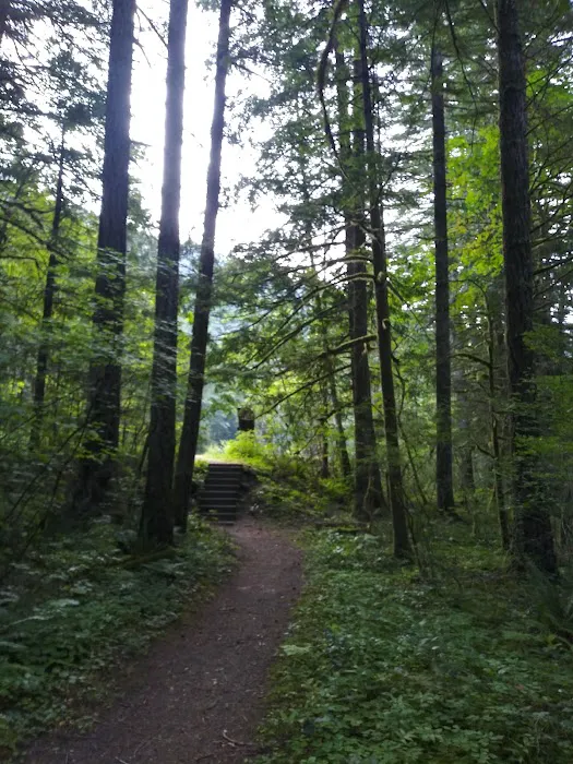 Carter Bridge Campground 9