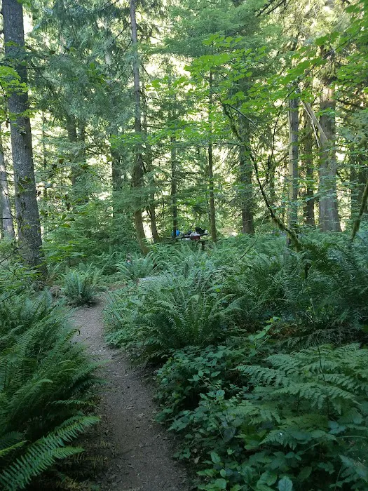 Lockaby Campground 5