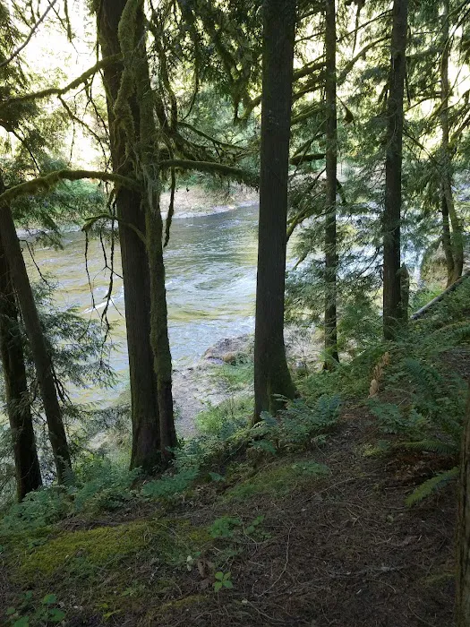 Lockaby Campground 3