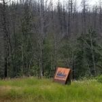 Fish Creek Campground