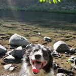 Fish Creek Campground