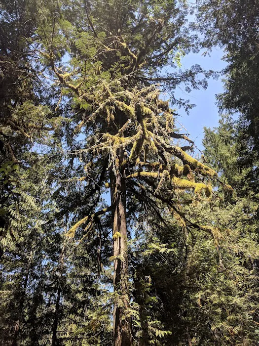 Fish Creek Campground 2
