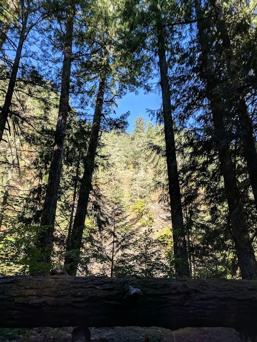 Fish Creek Campground 6