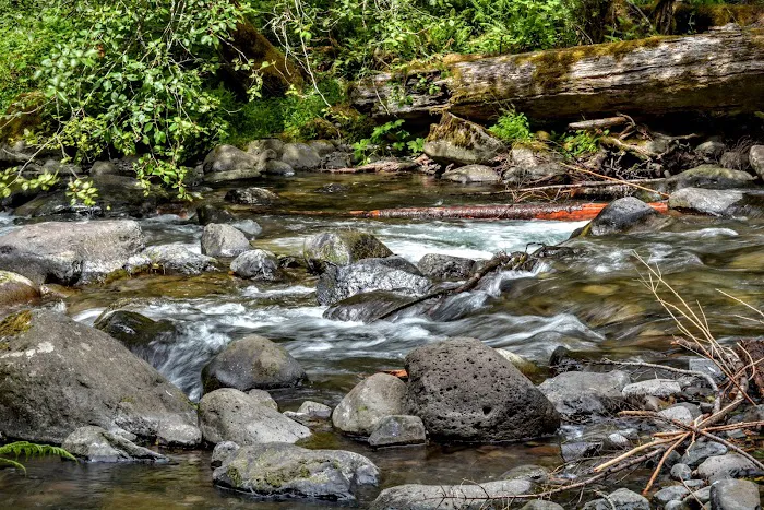 Roaring River Campground 0