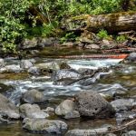 Roaring River Campground