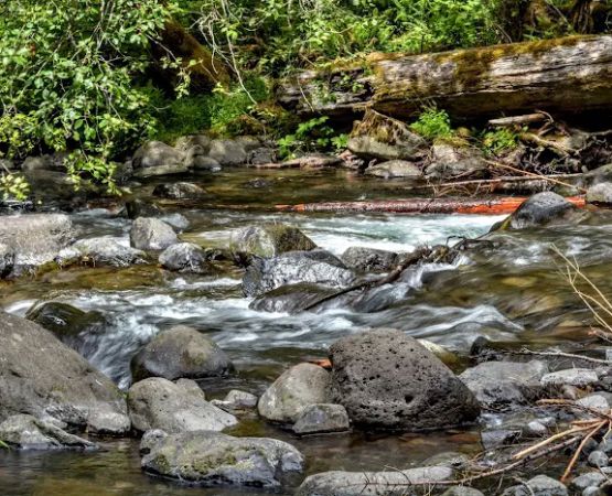Roaring River Campground
