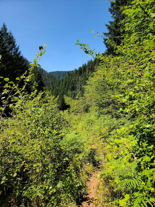 Roaring River Campground 6