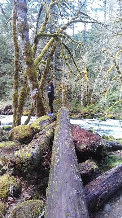 Roaring River Campground 7
