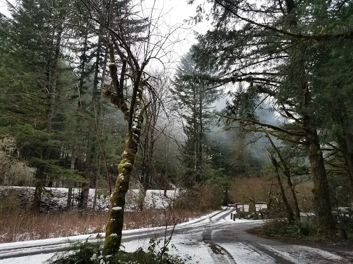 Sunstrip Campground 5