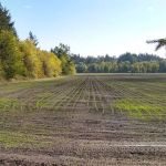 B Loop Champoeg State Heritage Area