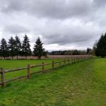 Champoeg Group Camp Sites (Camas & Otter)