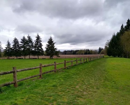 Champoeg Group Camp Sites (Camas & Otter)