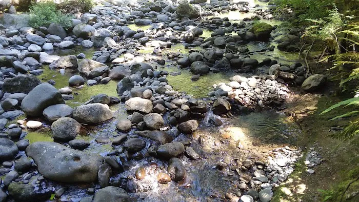 Butte Creek Falls Campground 5