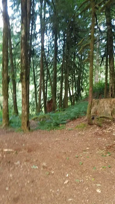 Butte Creek Falls Campground 4