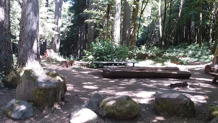 Butte Creek Falls Campground 2