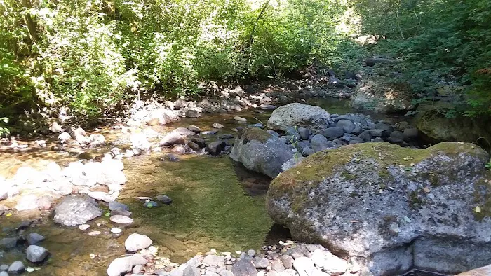 Butte Creek Falls Campground 1