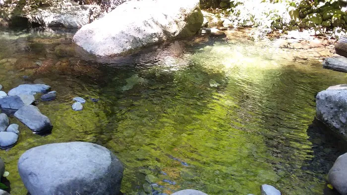 Butte Creek Falls Campground 3