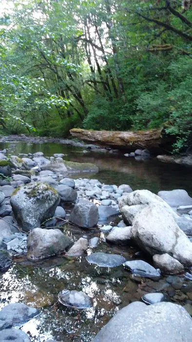 Butte Creek Falls Campground 9