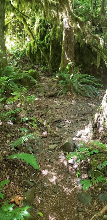 Elkhorn Valley Recreation Site 8