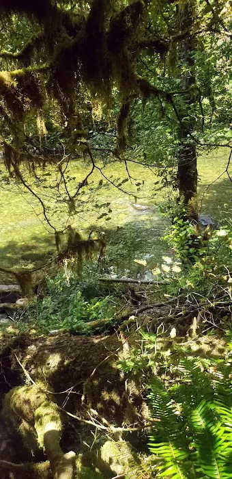 Elkhorn Valley Recreation Site 6