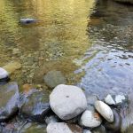 Elkhorn Valley Recreation Site