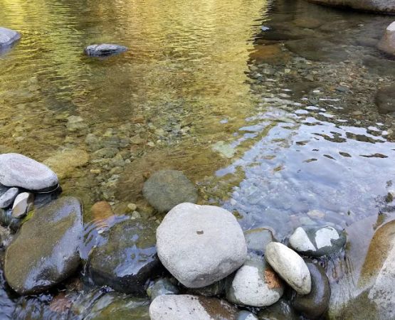 Elkhorn Valley Recreation Site