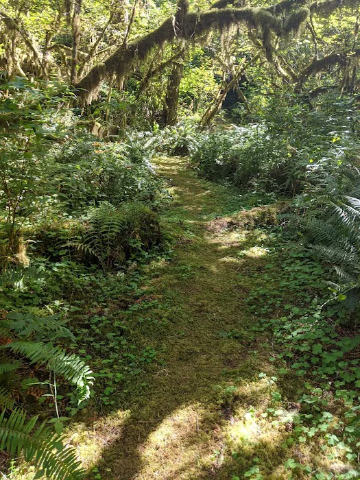 Elkhorn Valley Recreation Site 3