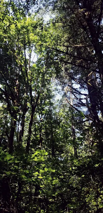 Elkhorn Valley Recreation Site 1