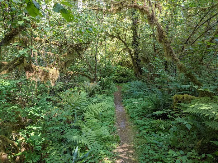 Elkhorn Valley Recreation Site 9