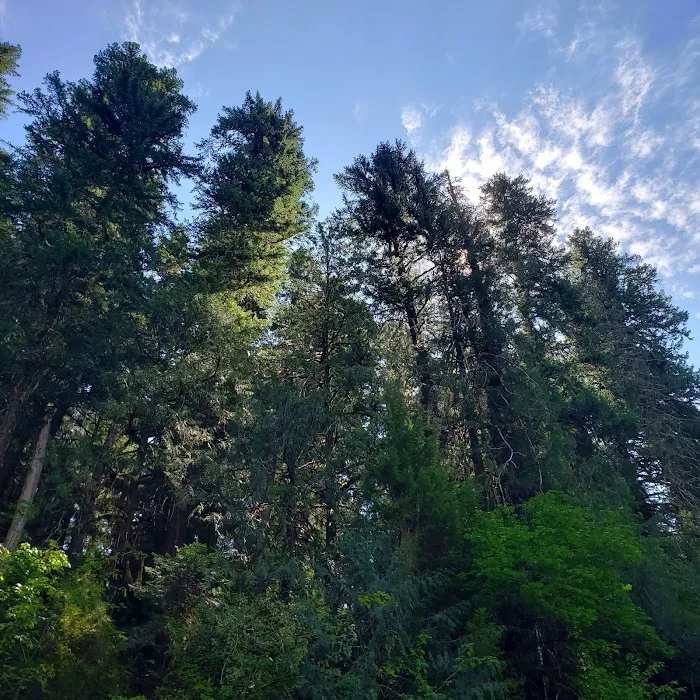 Bagby Hot Springs Campground 2