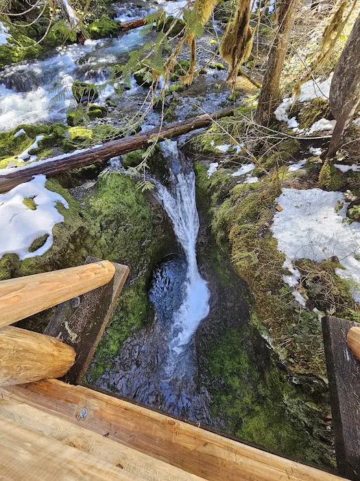 Bagby Hot Springs Campground 5
