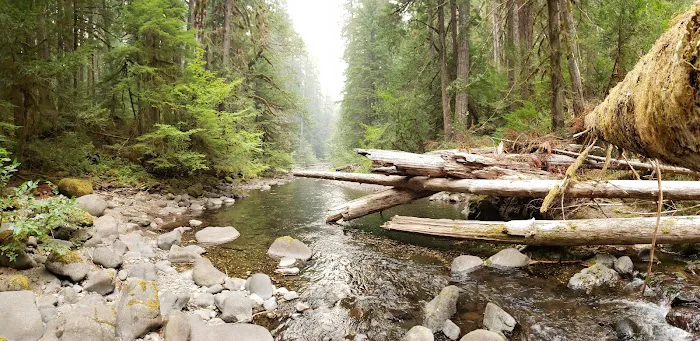 Bagby Hot Springs Campground 4