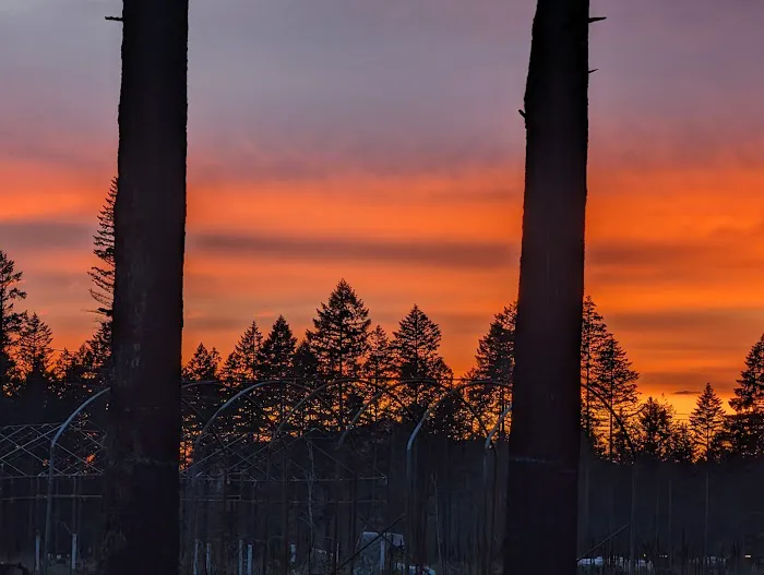 Taylor Park 7