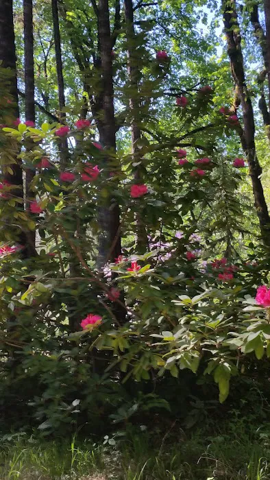 Taylor Park 6