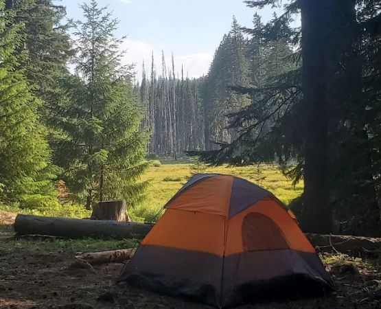 Joe Graham Horse Campground