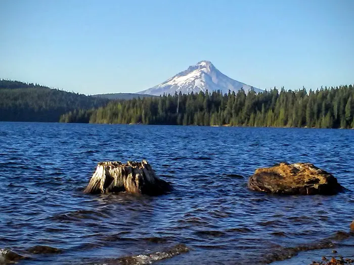 Gone Creek Campground 6