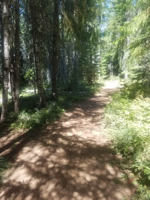 Oak Fork Campground 5