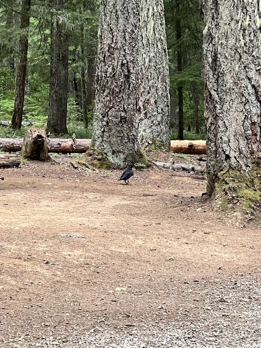 Oak Fork Campground 7