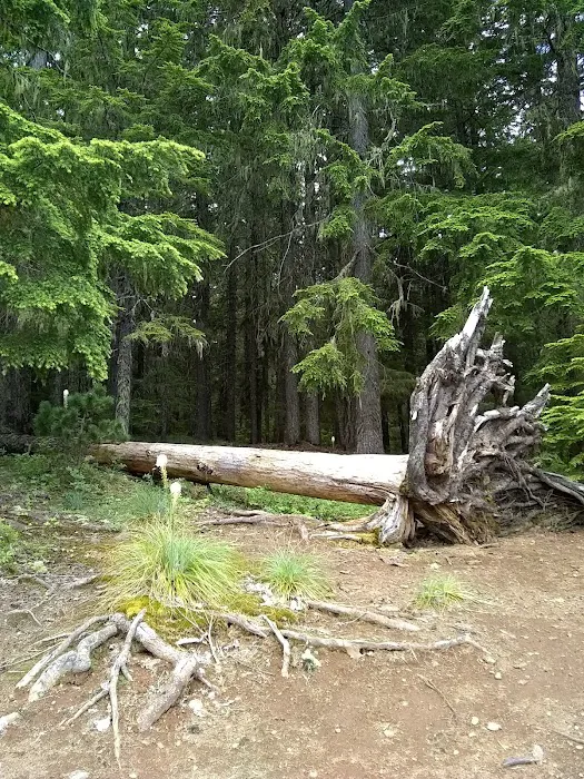 Oak Fork Campground 9