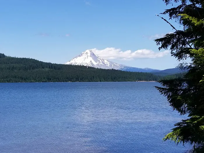 The Cove (Timothy Lake) Day-Use 3