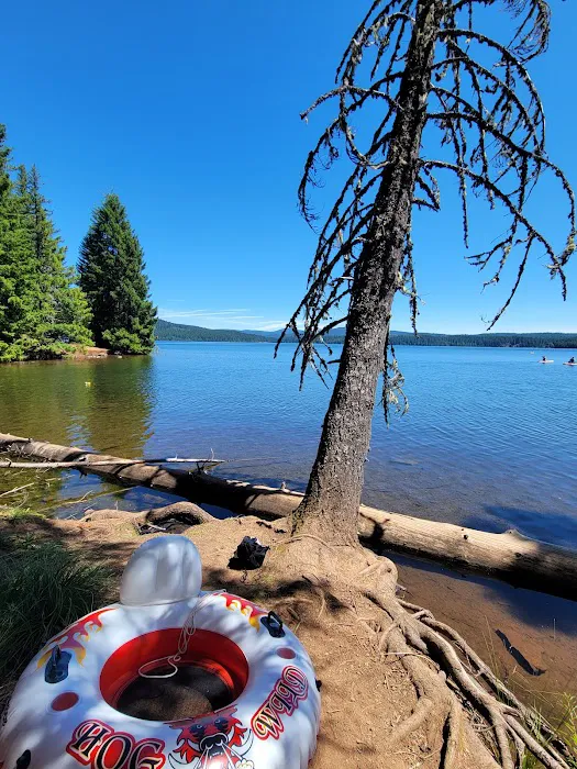 The Cove (Timothy Lake) Day-Use 4