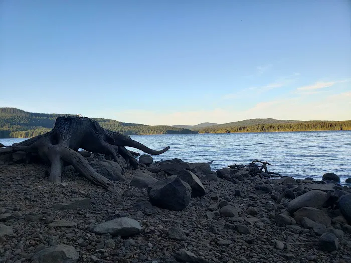 The Cove (Timothy Lake) Day-Use 8