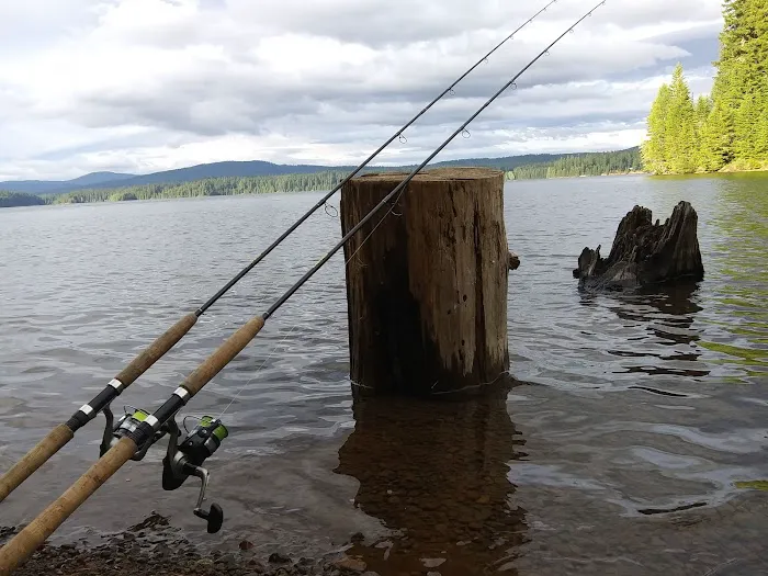The Cove (Timothy Lake) Day-Use 9