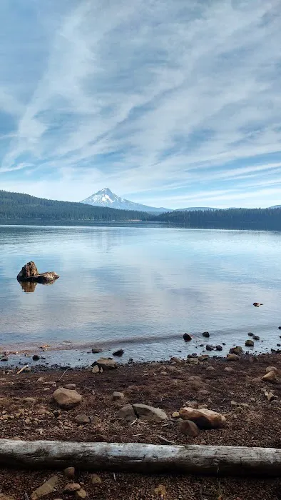 Pine Point (Timothy Lake) Day Use/Picnic Area (recgovnpsdata) 0