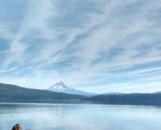 Pine Point (Timothy Lake) Day Use/Picnic Area (recgovnpsdata)