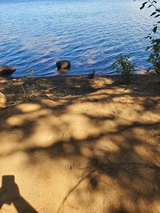 Pine Point (Timothy Lake) Day Use/Picnic Area (recgovnpsdata) 5