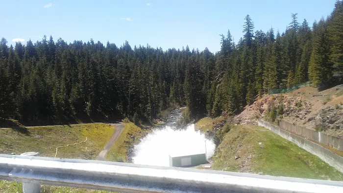 Pine Point (Timothy Lake) Day Use/Picnic Area (recgovnpsdata) 2