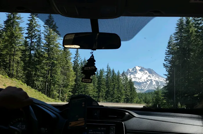 Pine Point (Timothy Lake) Day Use/Picnic Area (recgovnpsdata) 9