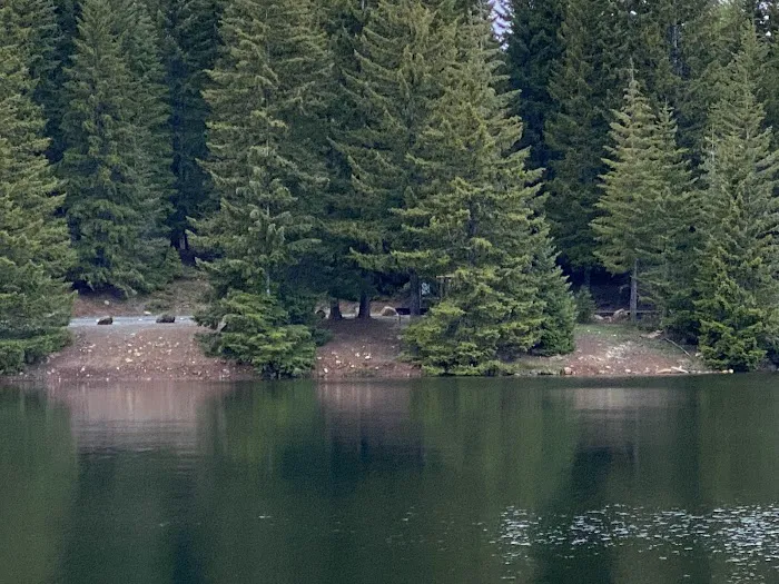 Pine Point Group Campground 2