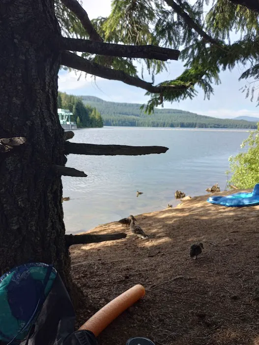Pine Point Group Campground 8